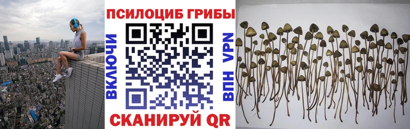 Псилоцибиновые грибы прущие грибы  Гаджиево 